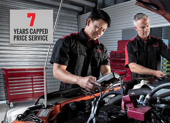 7 YEARS CAPPED PRICE SERVICING